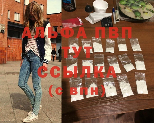 стафф Дмитров