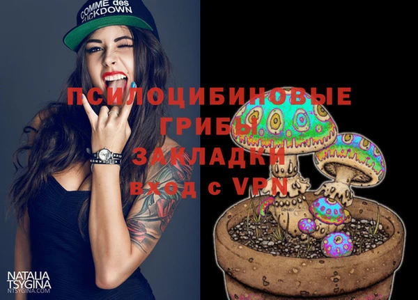 мдпв Дмитровск