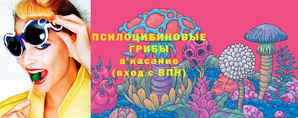 стафф Дмитров