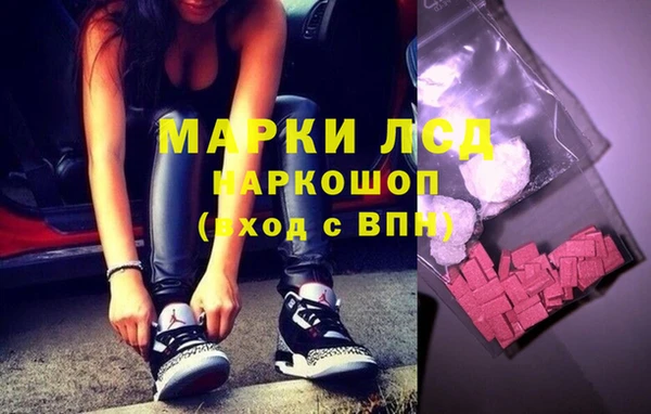 стафф Дмитров