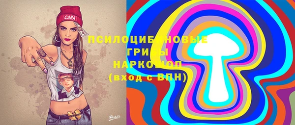 apvp Ельня