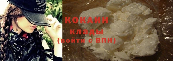 стафф Дмитров