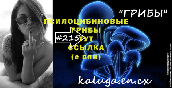 стафф Дмитров