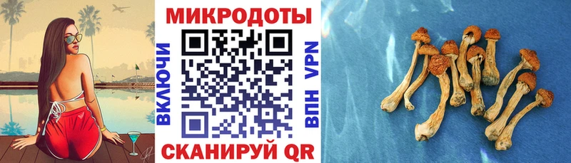Купить закладки  Холмск  Галлюциногенные грибы мухоморы 